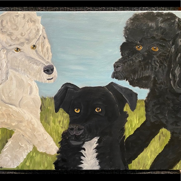 PET PORTRAIT HOST Pick 3/2/24 & 5/2/25 - Picture 6 of 12